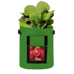 Non-woven Plant Pouch