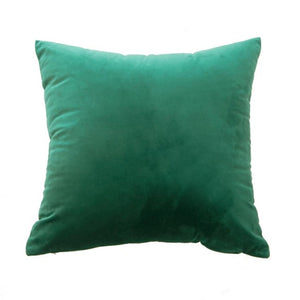 Velvet Pillow Case