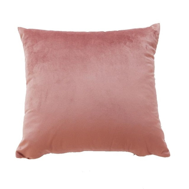 Velvet Pillow Case