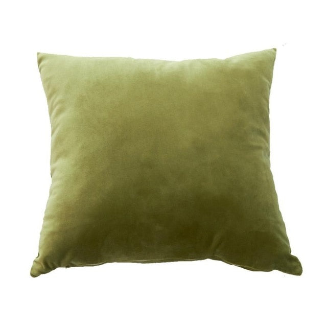 Velvet Pillow Case