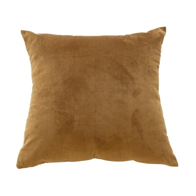 Velvet Pillow Case