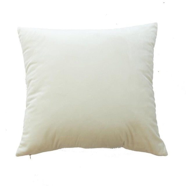 Velvet Pillow Case