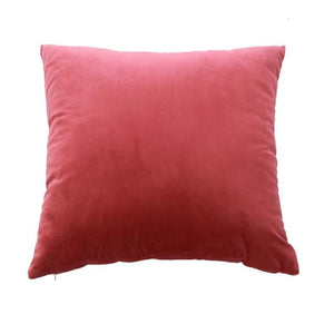 Velvet Pillow Case