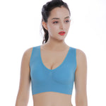 Plus Size Seameless Padded Bra